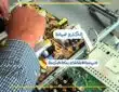 صيانة شاشات بمكة المكرمة LED وبلازما